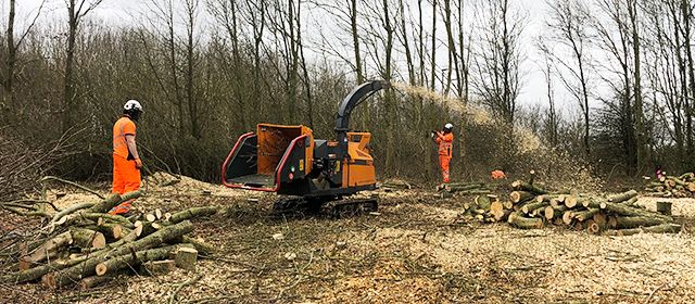Site clearance services