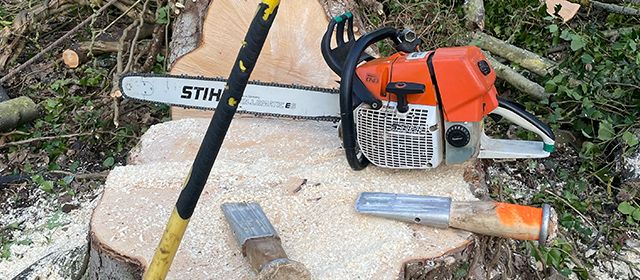 Commercial tree surgeons
