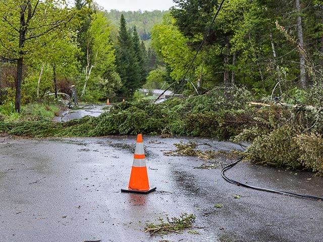 Emergency tree surgeons