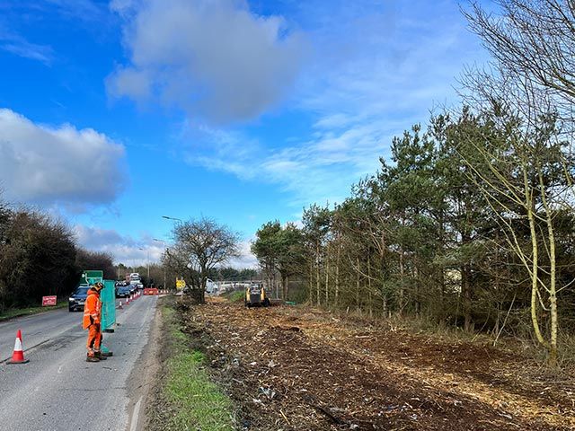 Vegetation clearance from side of highway