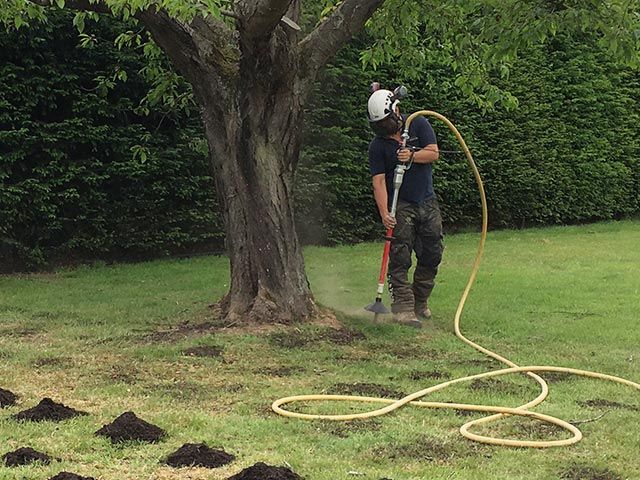 Soil aeration and vertical mulching of trees