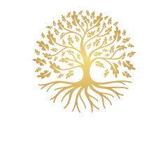 Commercial Tree Surgeons Treescape Group Qualified Arborists